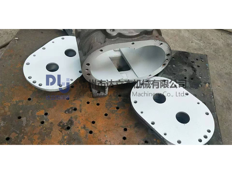 耐腐蝕羅茨風(fēng)機(jī)